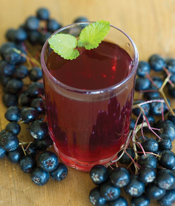 Aronia melanocarpa